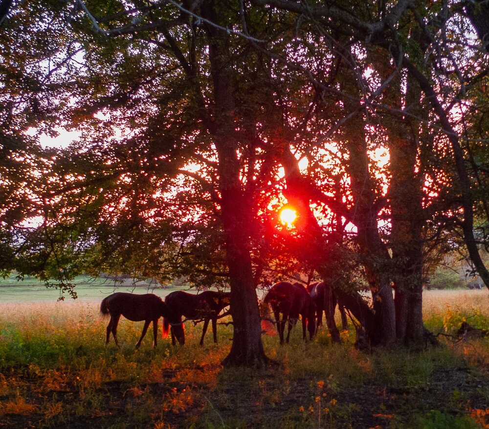 Photograph by Aндрей Иванов