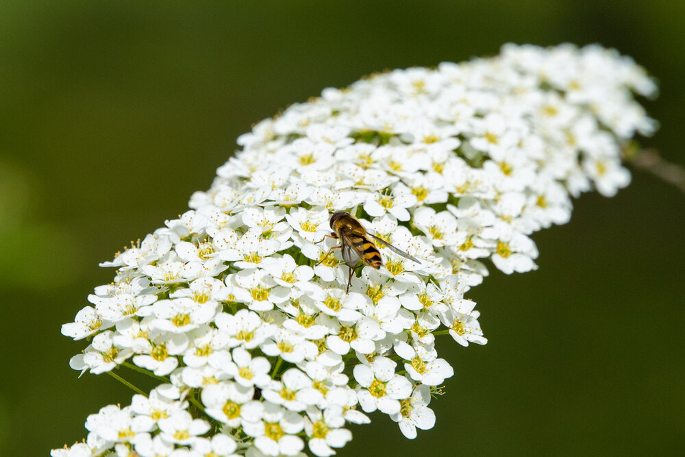 Photograph by Наталия Сметнёва