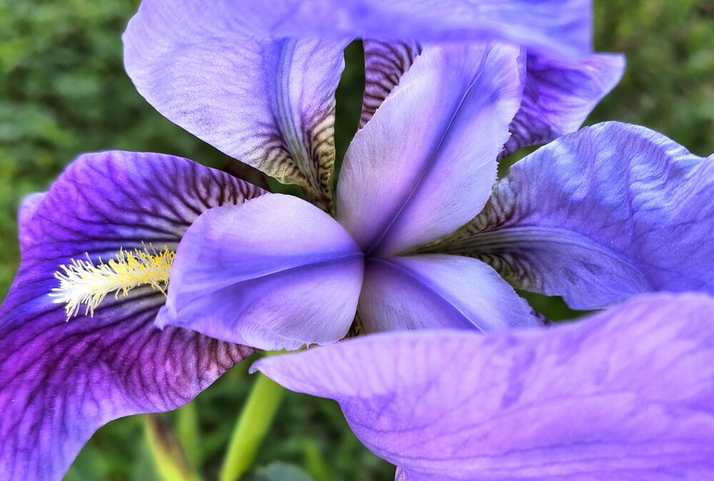 Photograph by Tamar Zisman