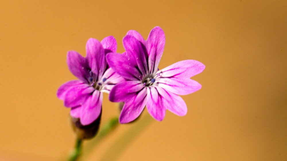 Photograph by irfan demirel