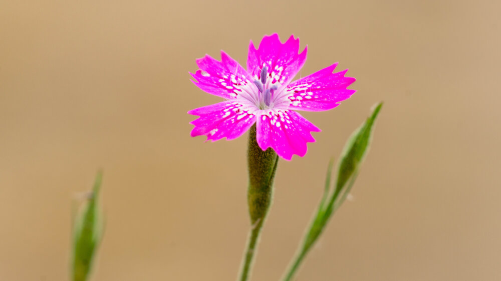 Photograph by irfan demirel