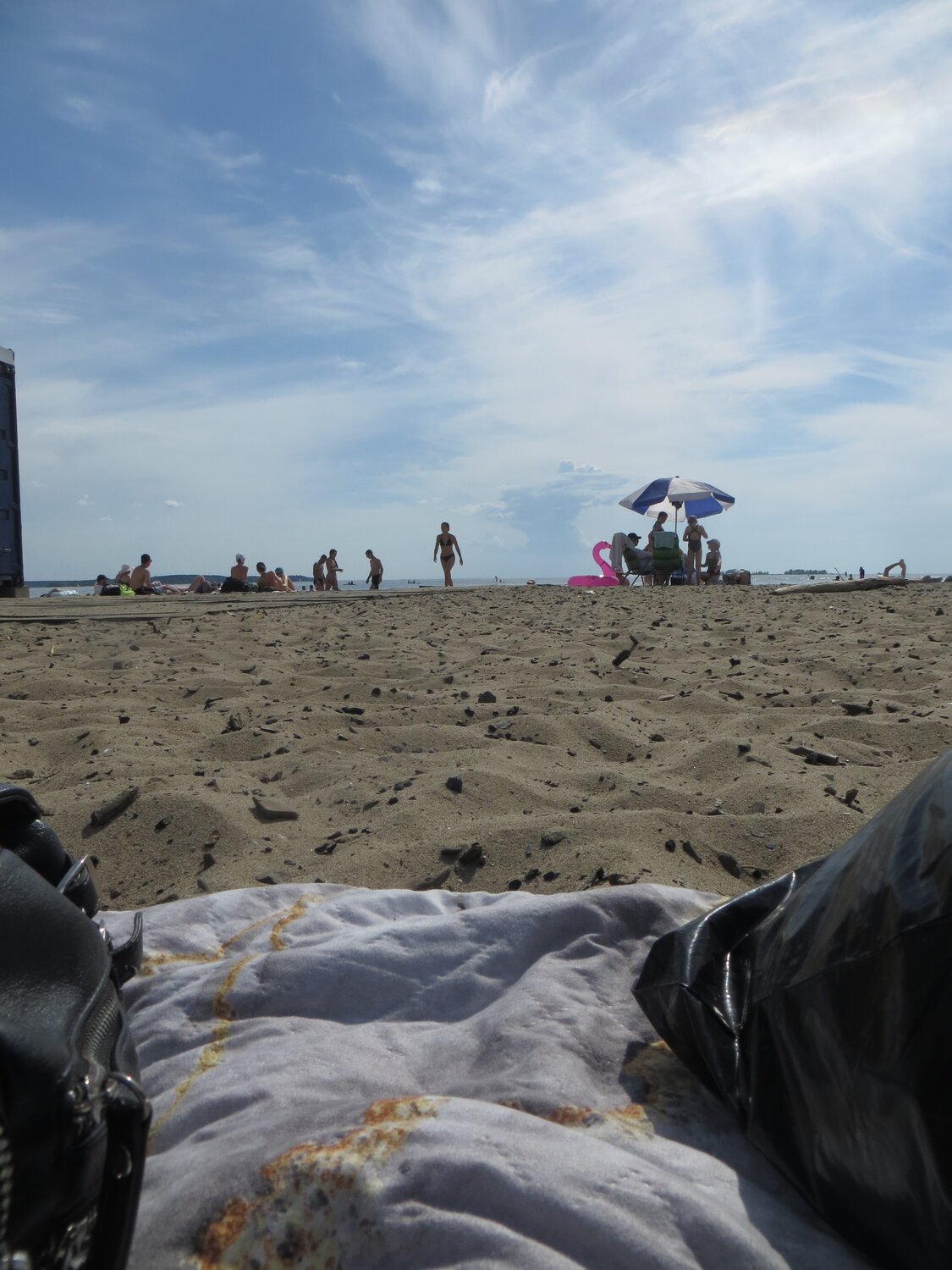 Photo #13908708