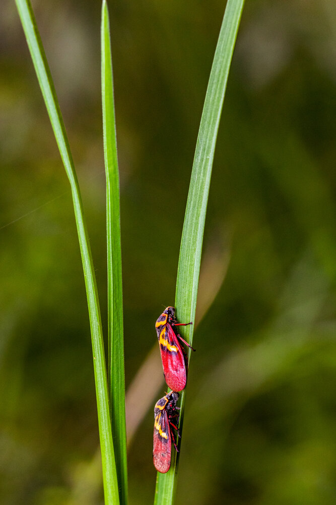 Photograph by Trivet Antony
