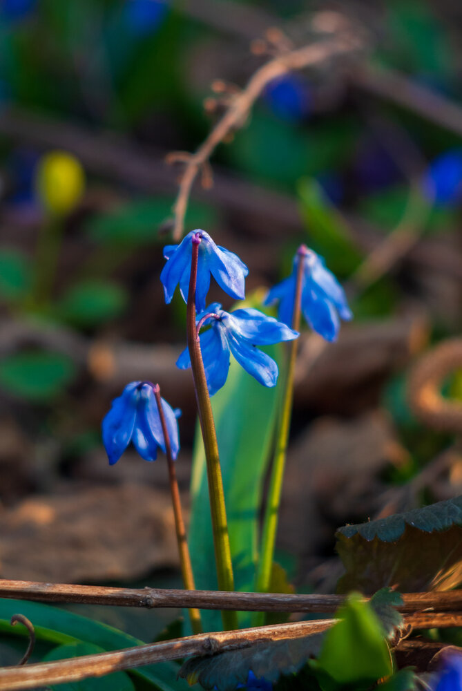Photograph by Aндрей Иванов