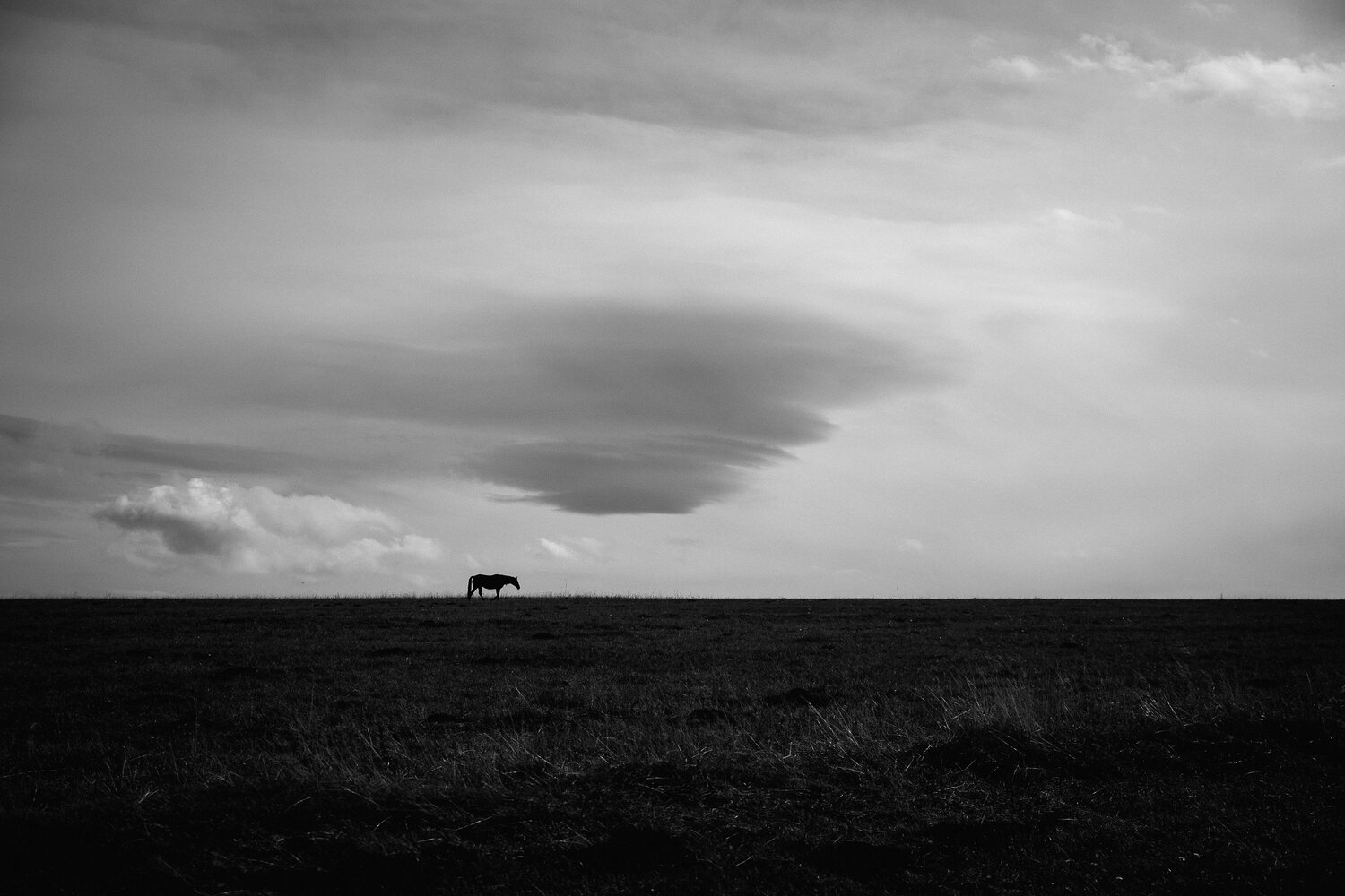 Photo #13908855