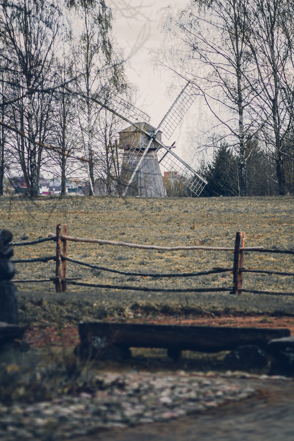 Photo #13908870
