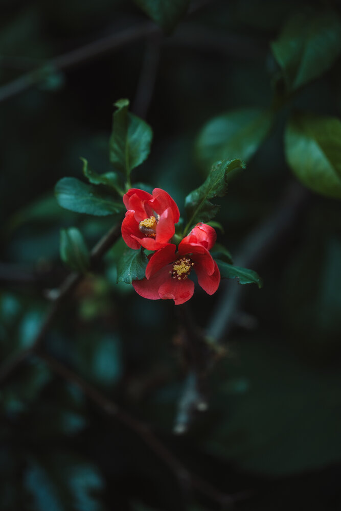 Photograph by Ольга Петрова