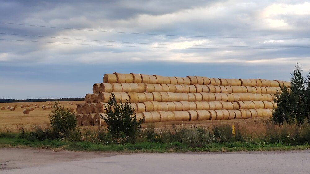 Photo #13908946