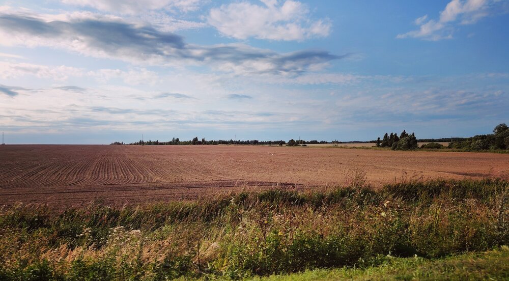 Photo #13908948