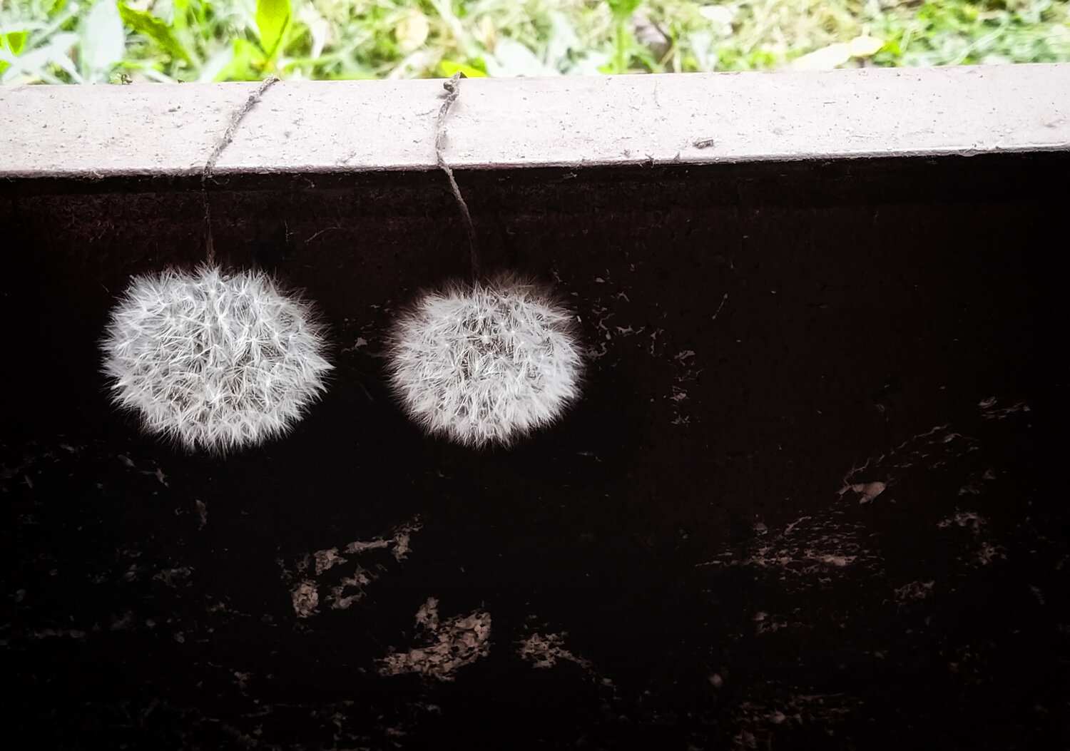 Photo #13908950