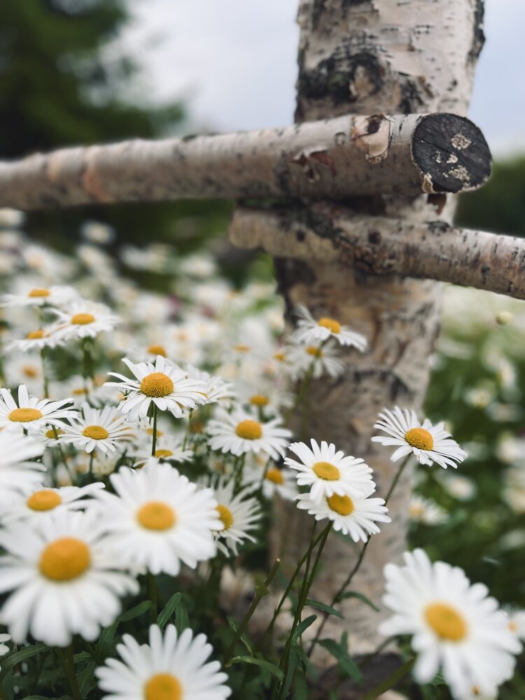 Photograph by Тень Таня