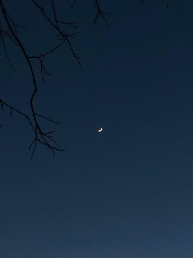 Photo #13909054