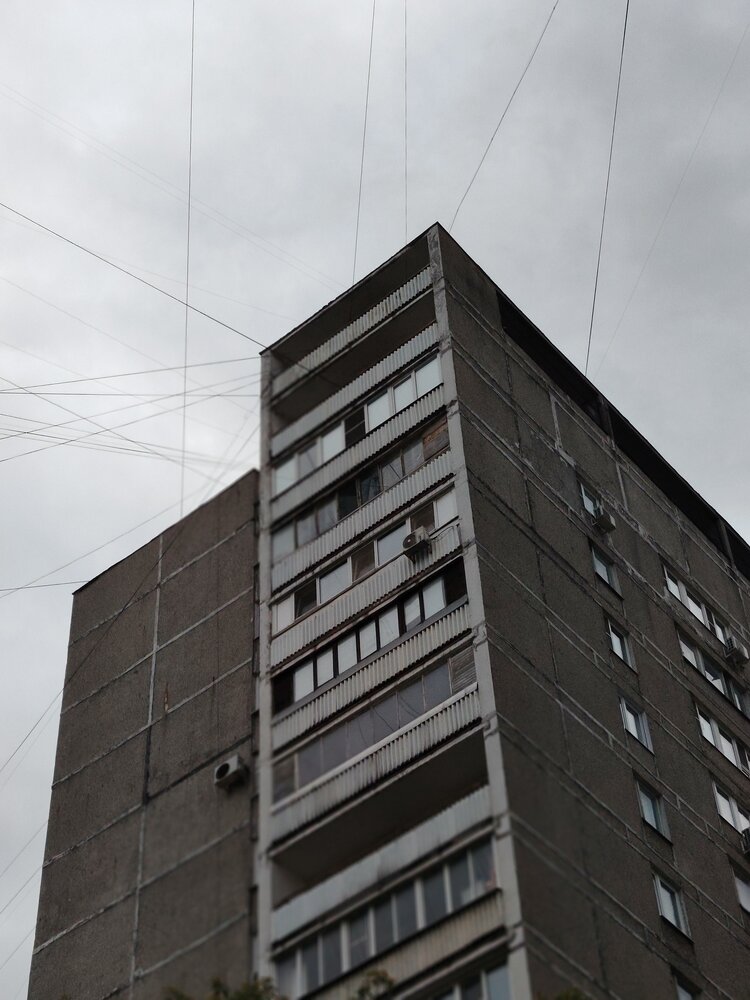 Photo #13909055