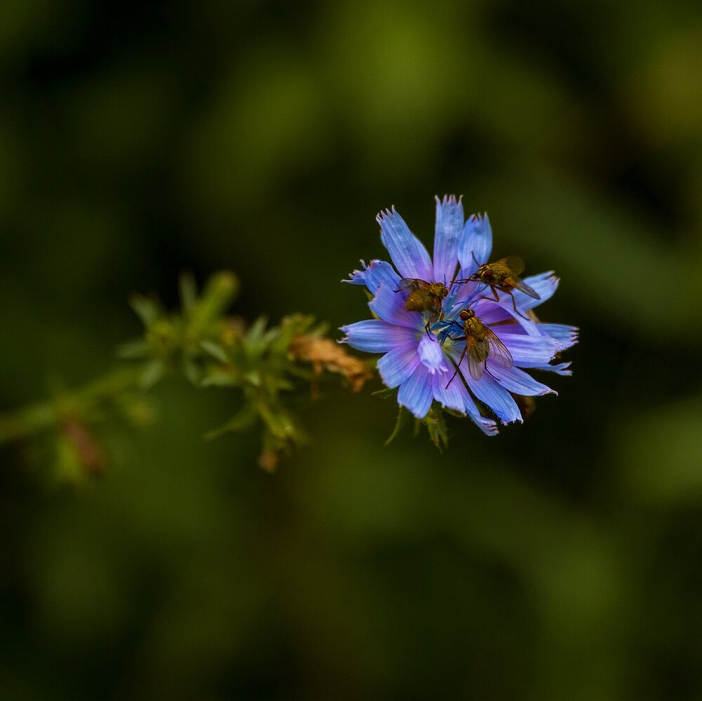 Photograph by Михаил Мак