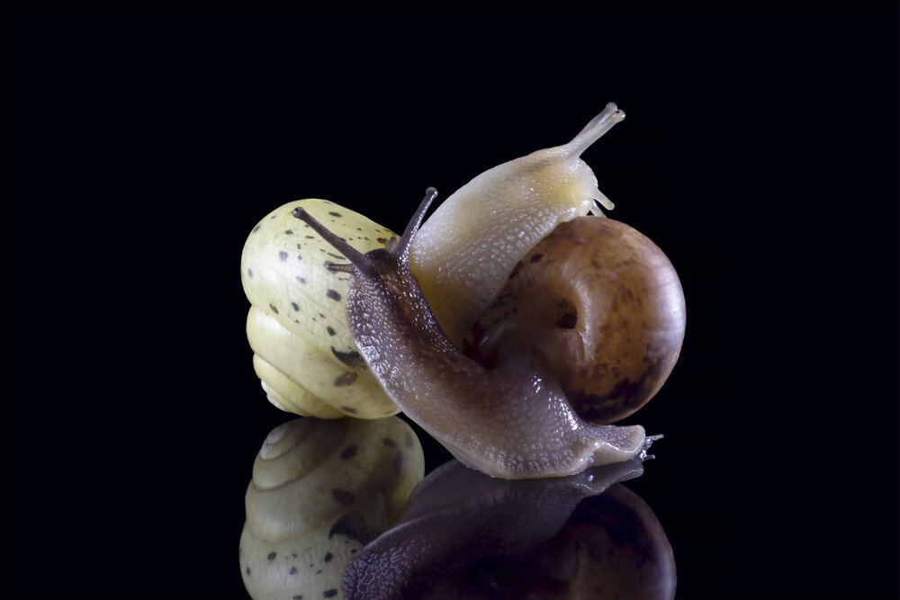Photograph by Читаева Вера