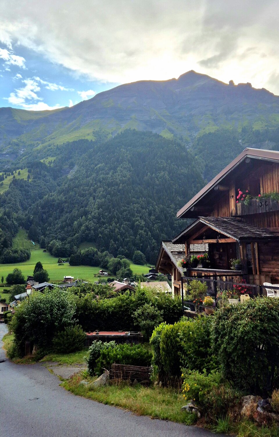 Photo #13909169