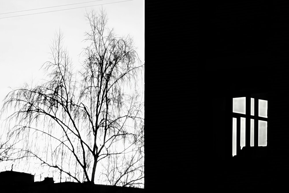 Photograph by Карпухина Анна