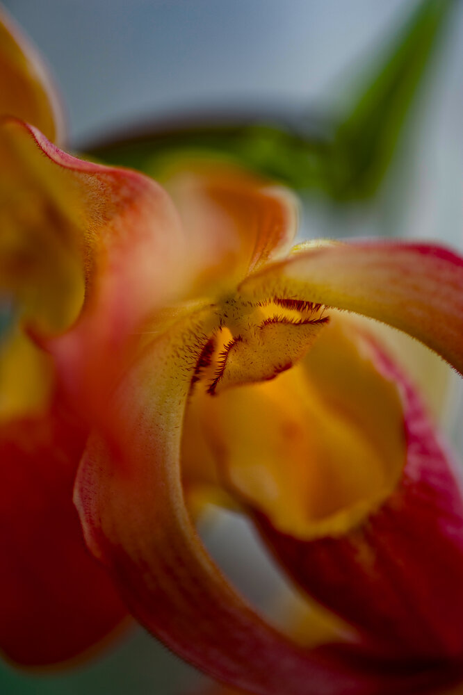 Photograph by Хуршудов Дмитрий
