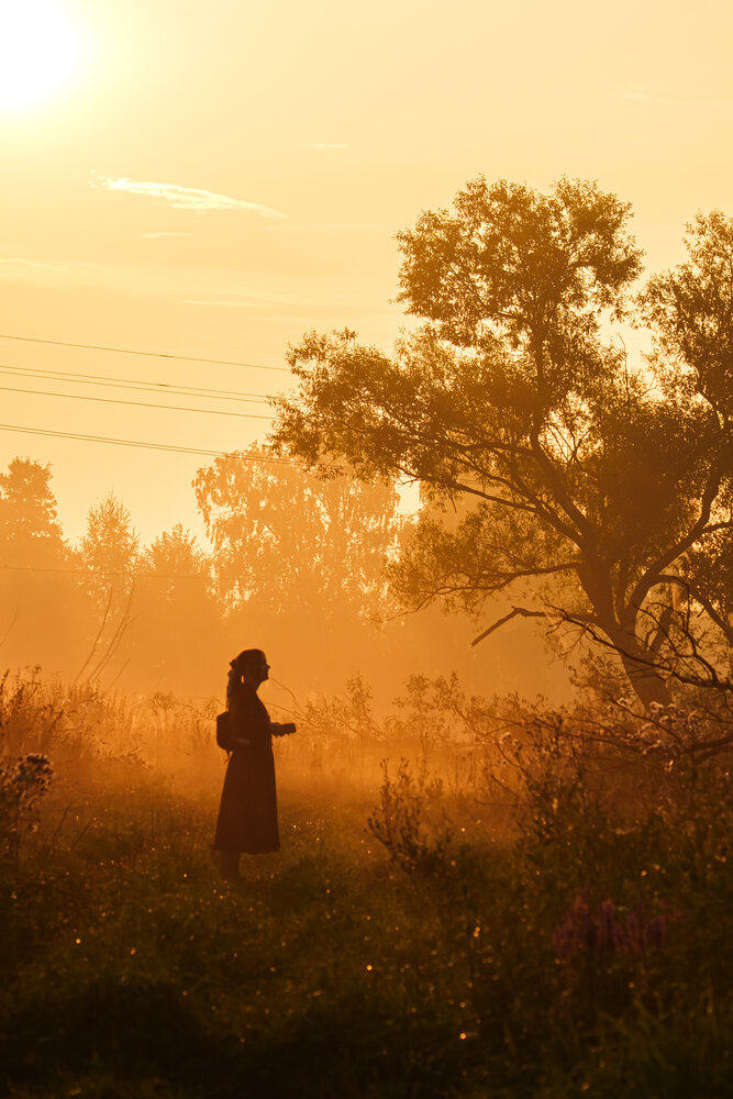 Photograph by Petrovic Dmitry