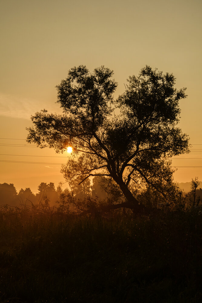 Photograph by Petrovic Dmitry