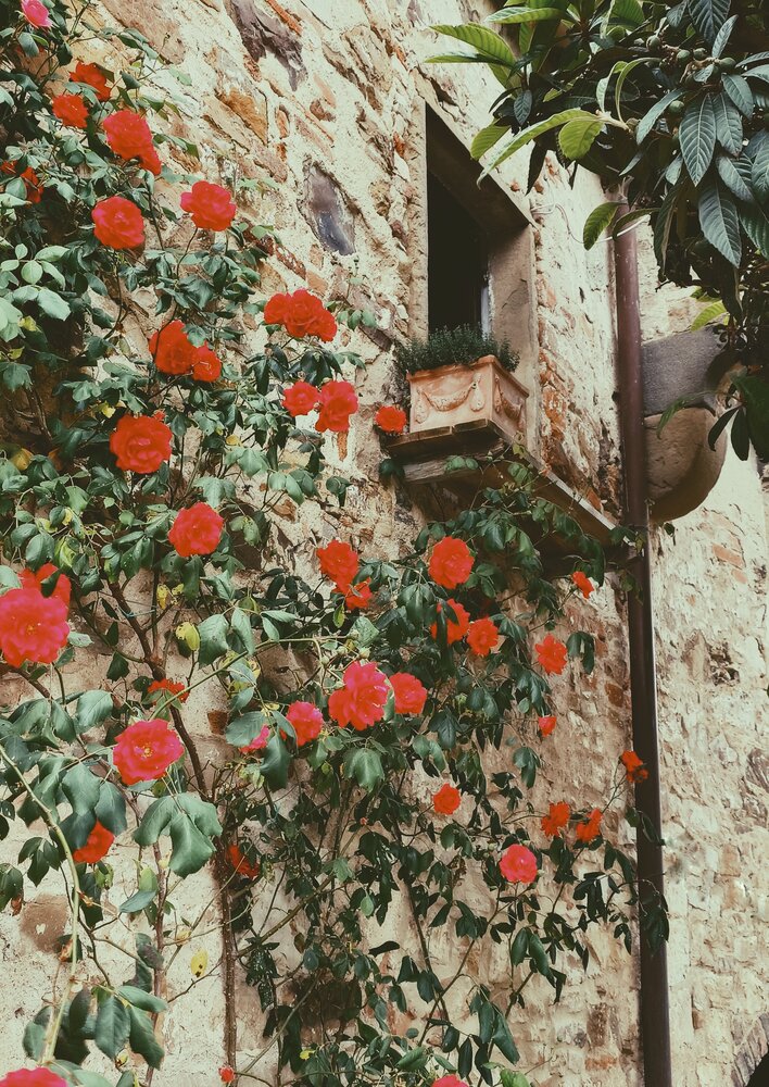 Photograph by Alina Iakovleva