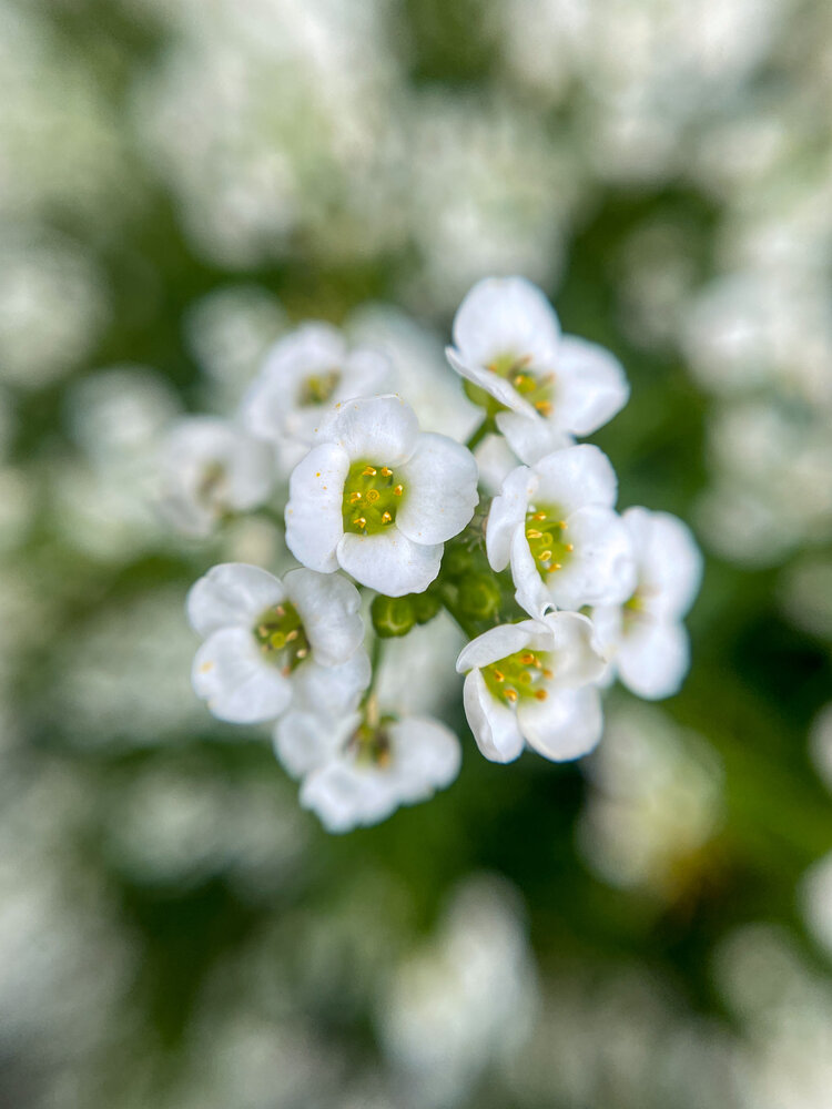 Photograph by Наиль Шакиров