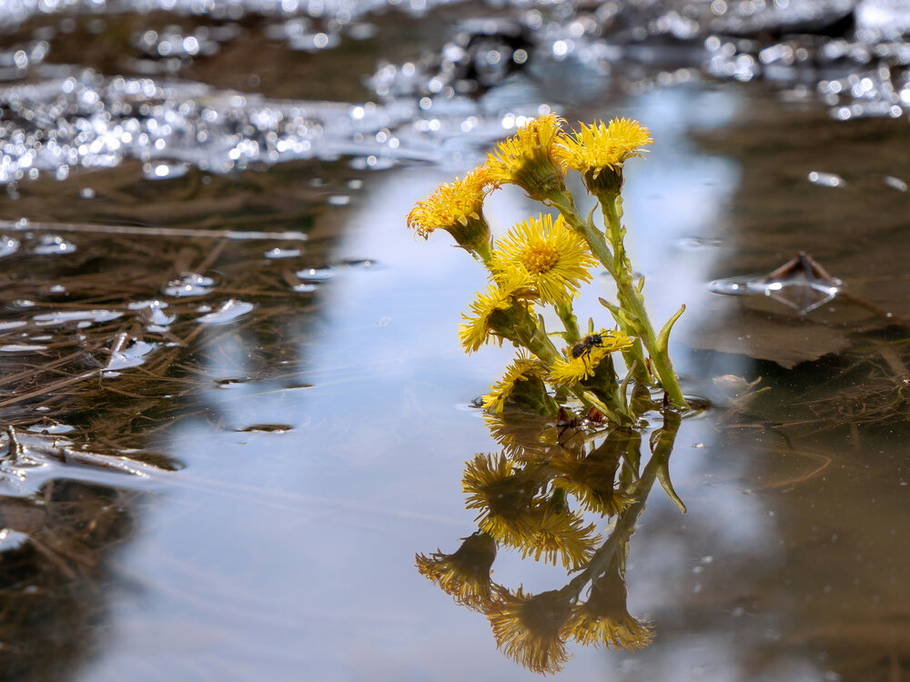 Photograph by Читаева Вера