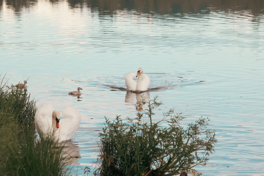 Photograph by Ольга Зимина