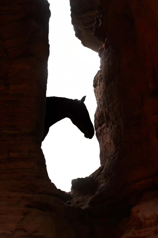 Photograph by Fabienne Gassmann