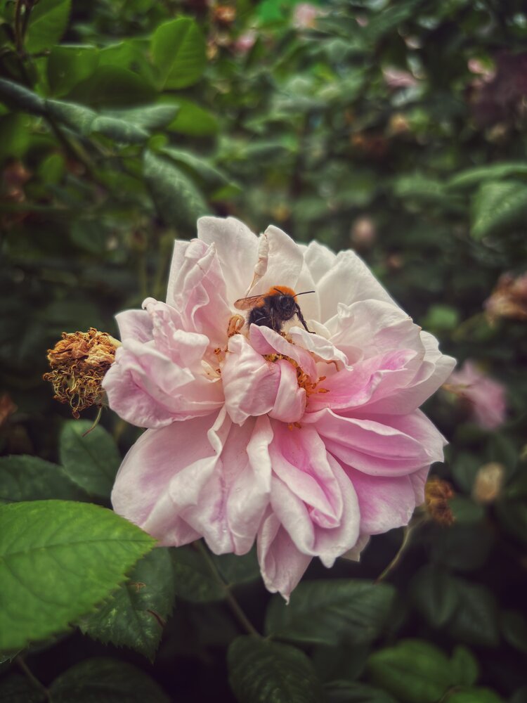 Photograph by Лариса Кузнецова
