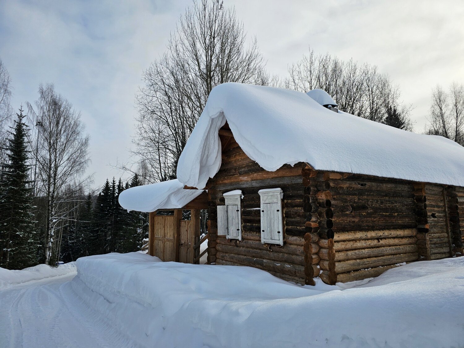Photo #13909458