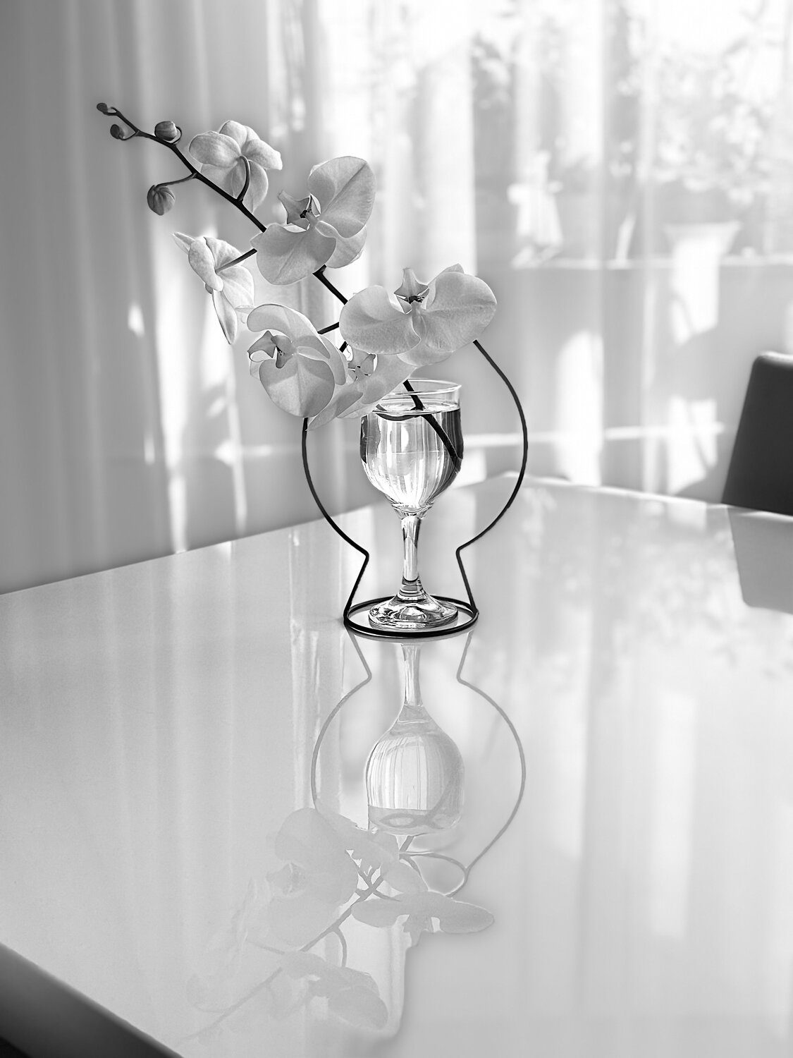 Photo #13909475