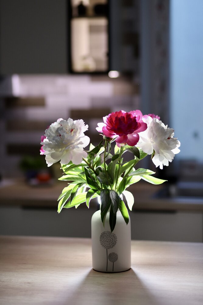 Photograph by Людмила Примак