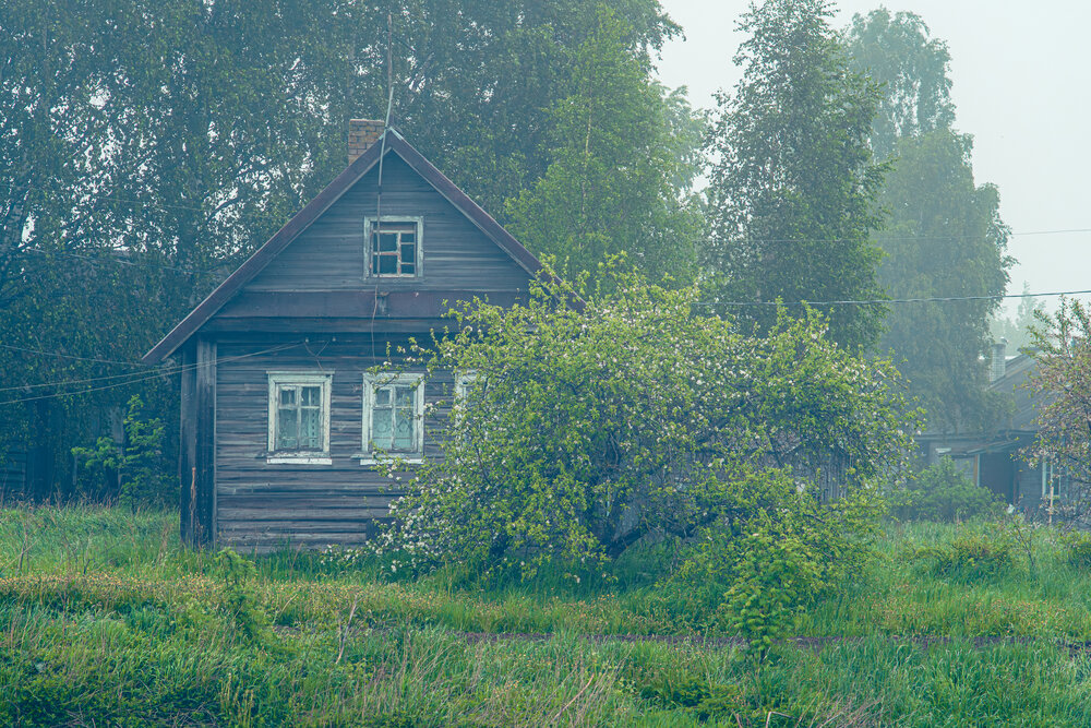 Фотография автора Евгений Дубенцов