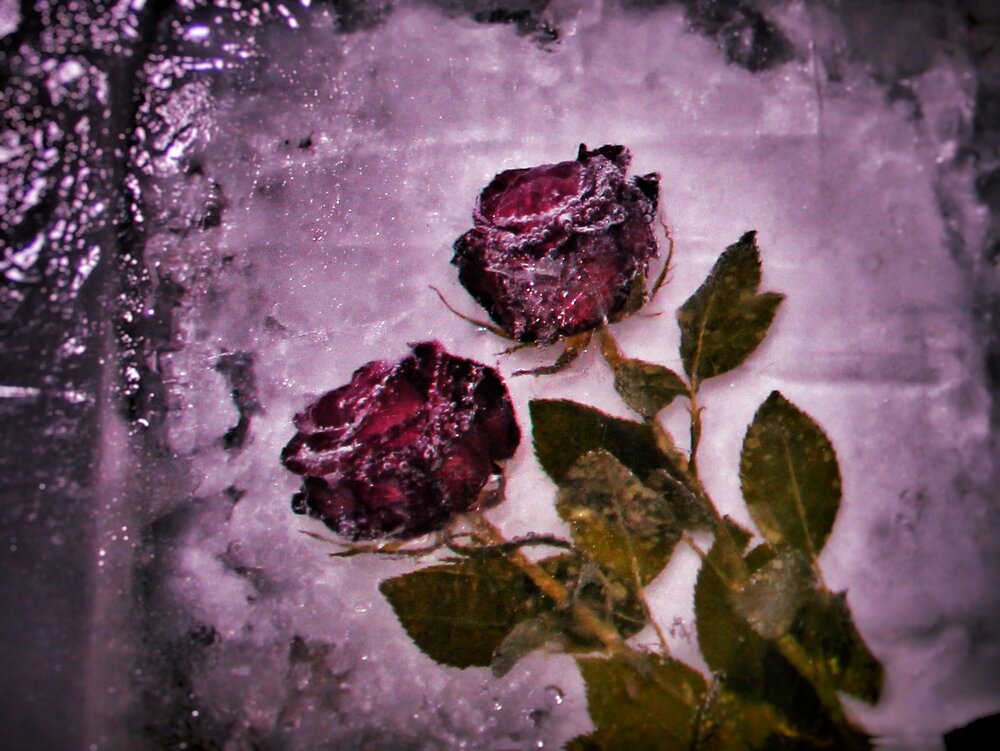 Photograph by Wendy