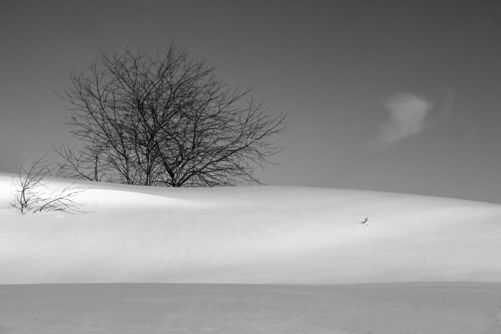 Photograph by Читаева Вера