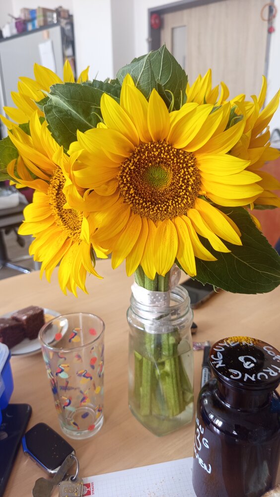 Photo #13909556