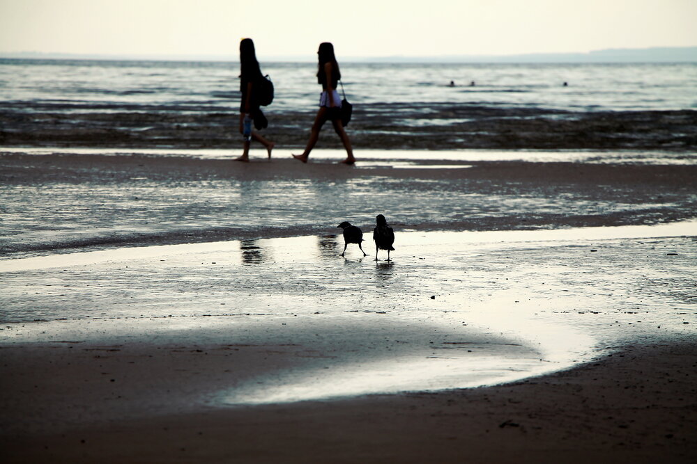 Photograph by Юрий Звонарев