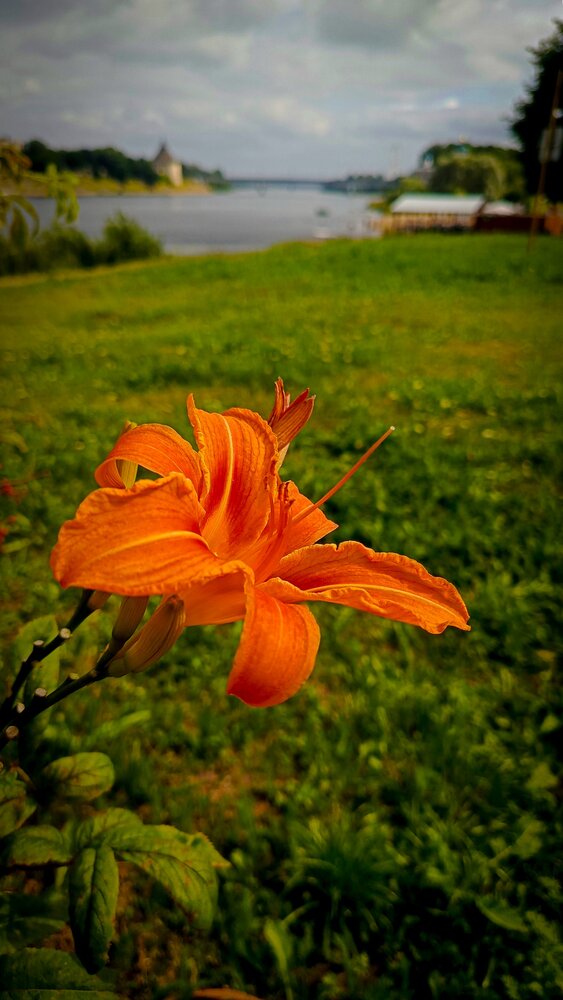 Photograph by Юрий Ступин