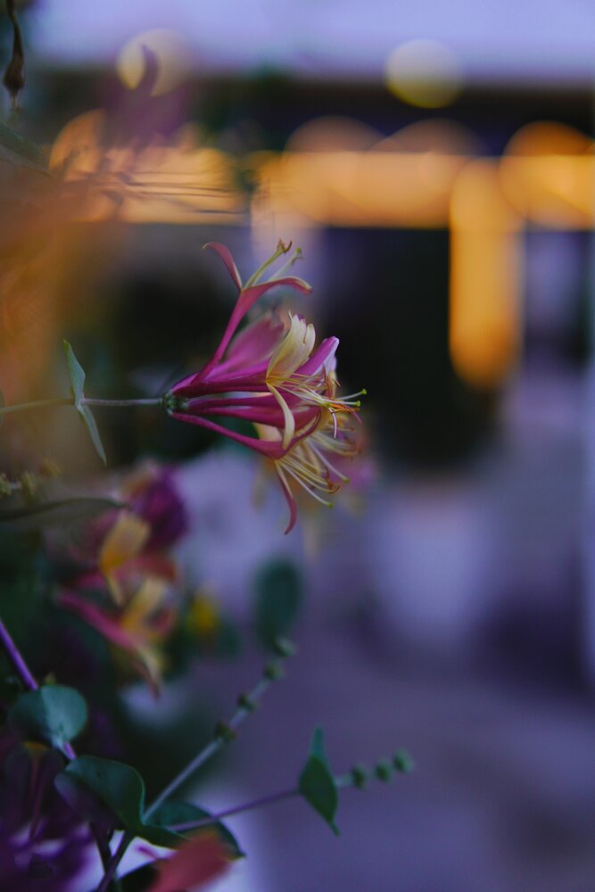 Photograph by Victoria Zubova