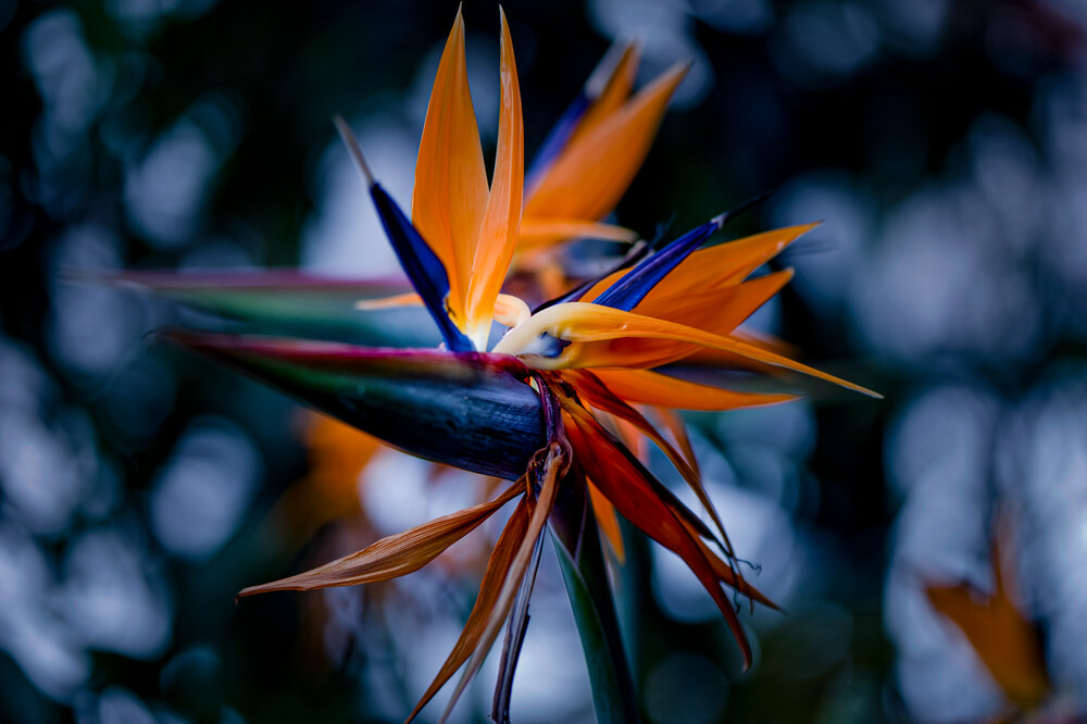 Photograph by Хуршудов Дмитрий