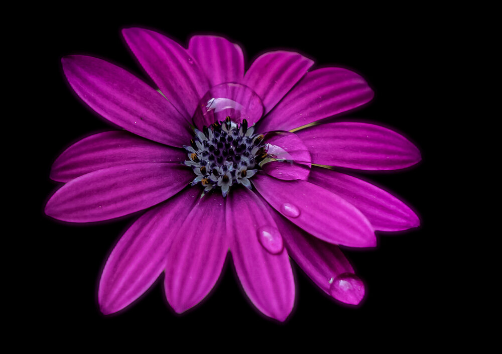 Photograph by Александр Соколов