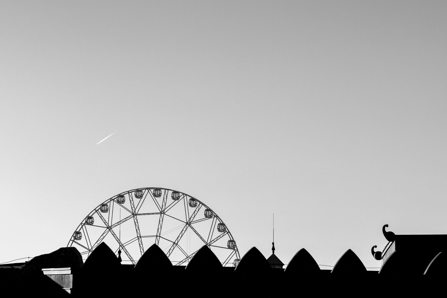 Photo #13909729