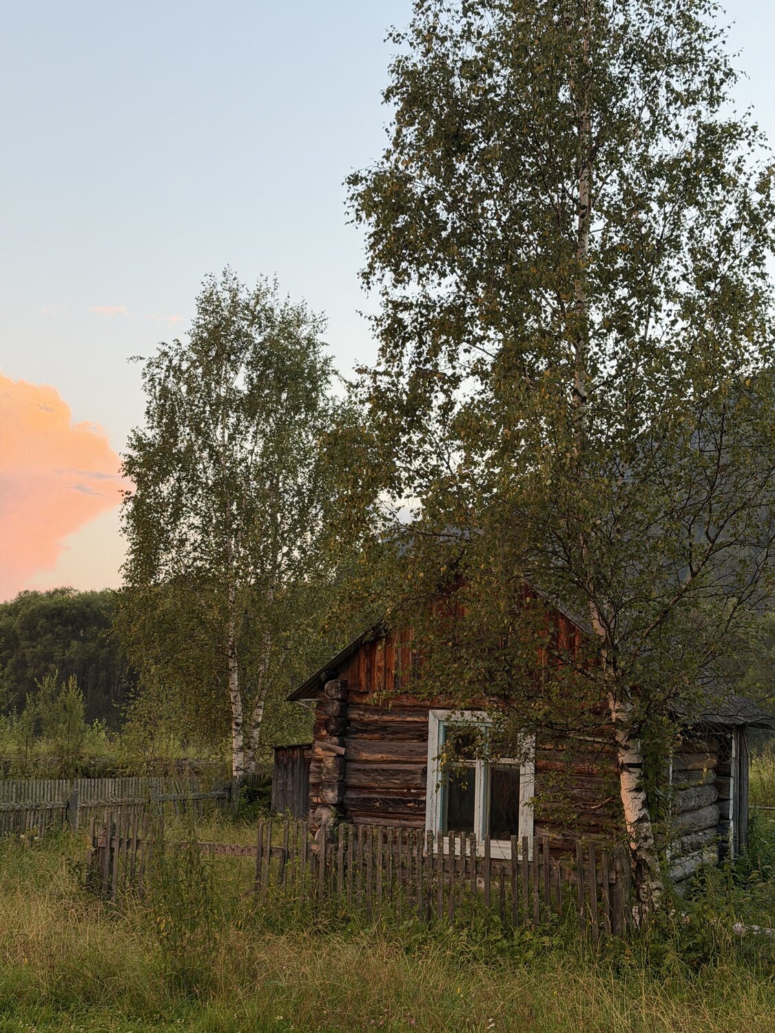 Photo #13909755