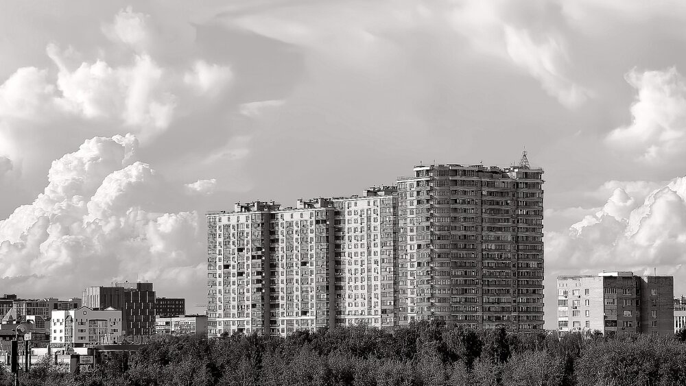 Photo #13909773