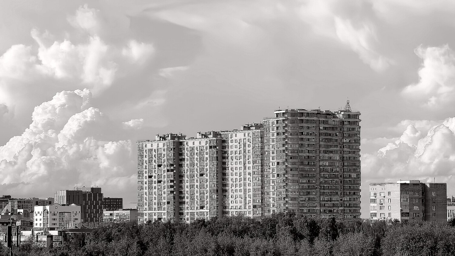 Фотография #13909773