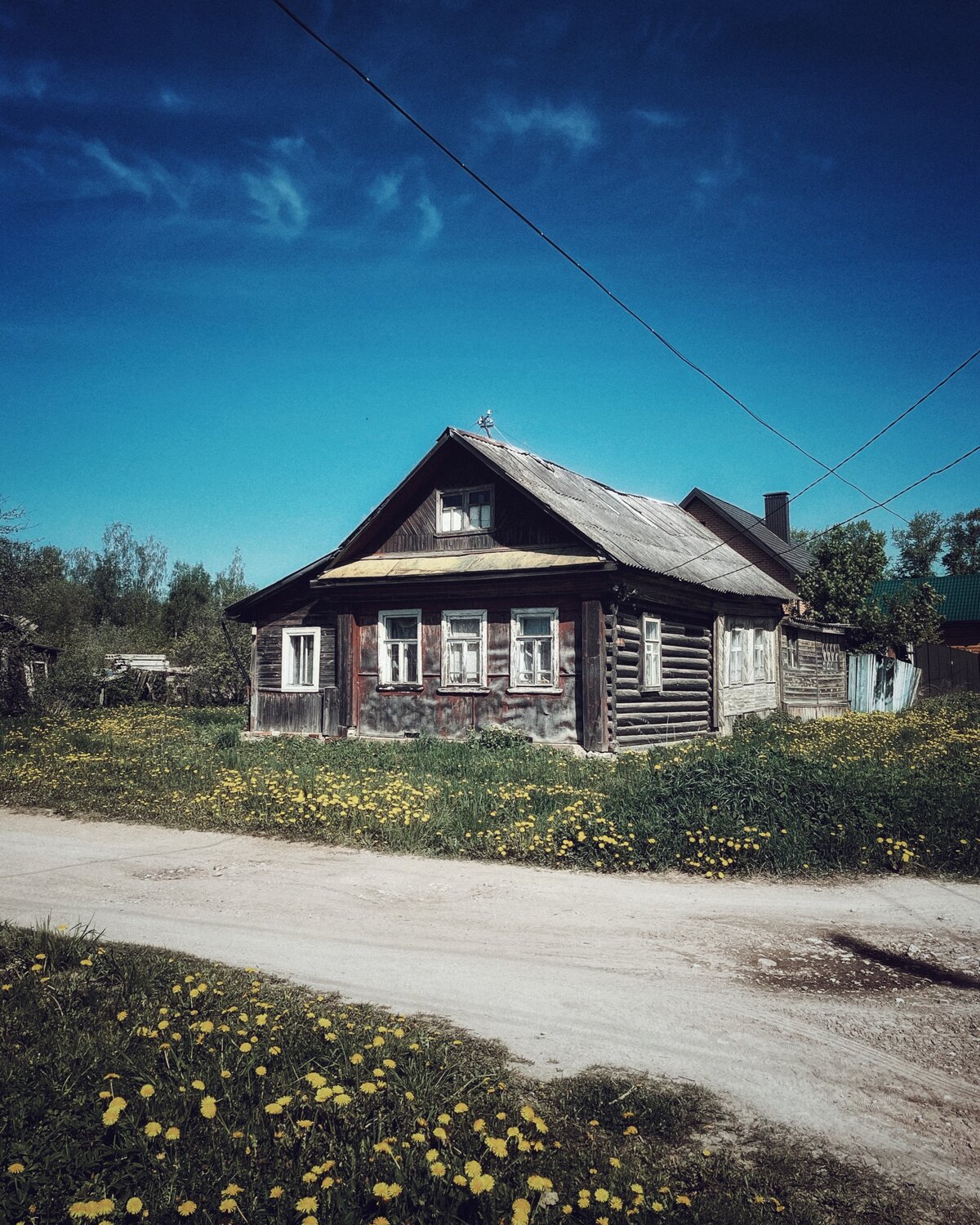Photo #13909824