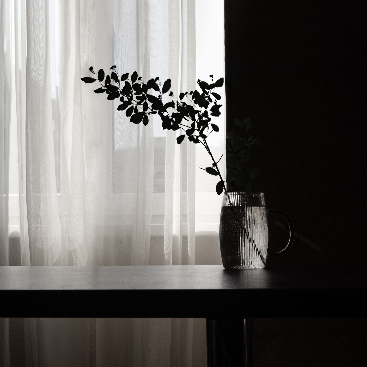 Photo #13909842