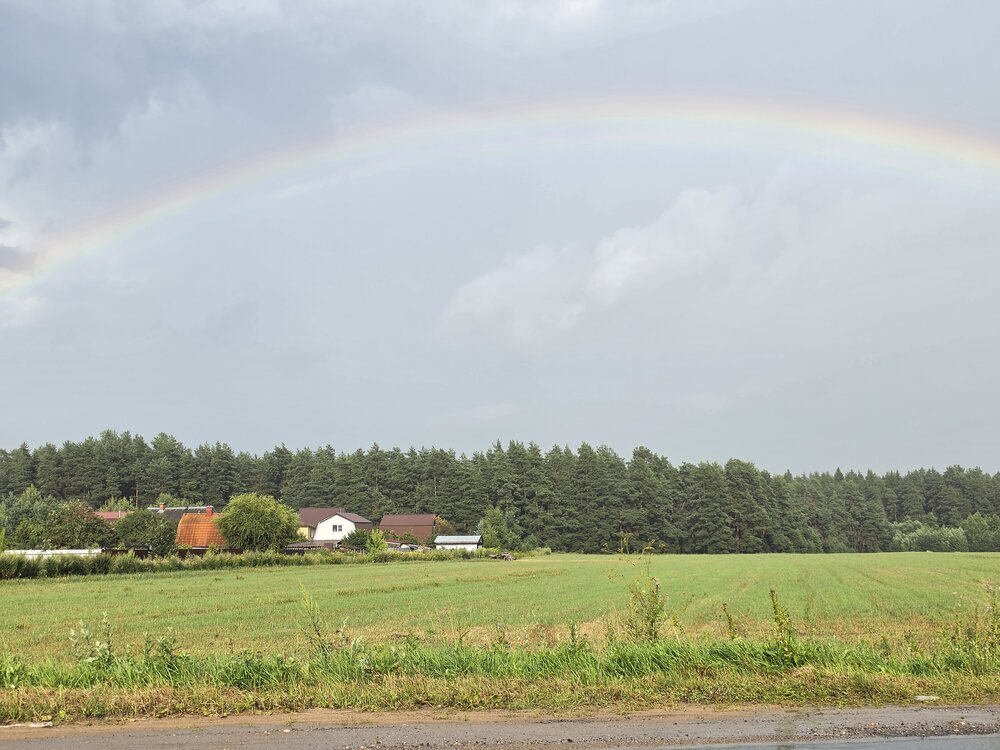 Photo #13909843