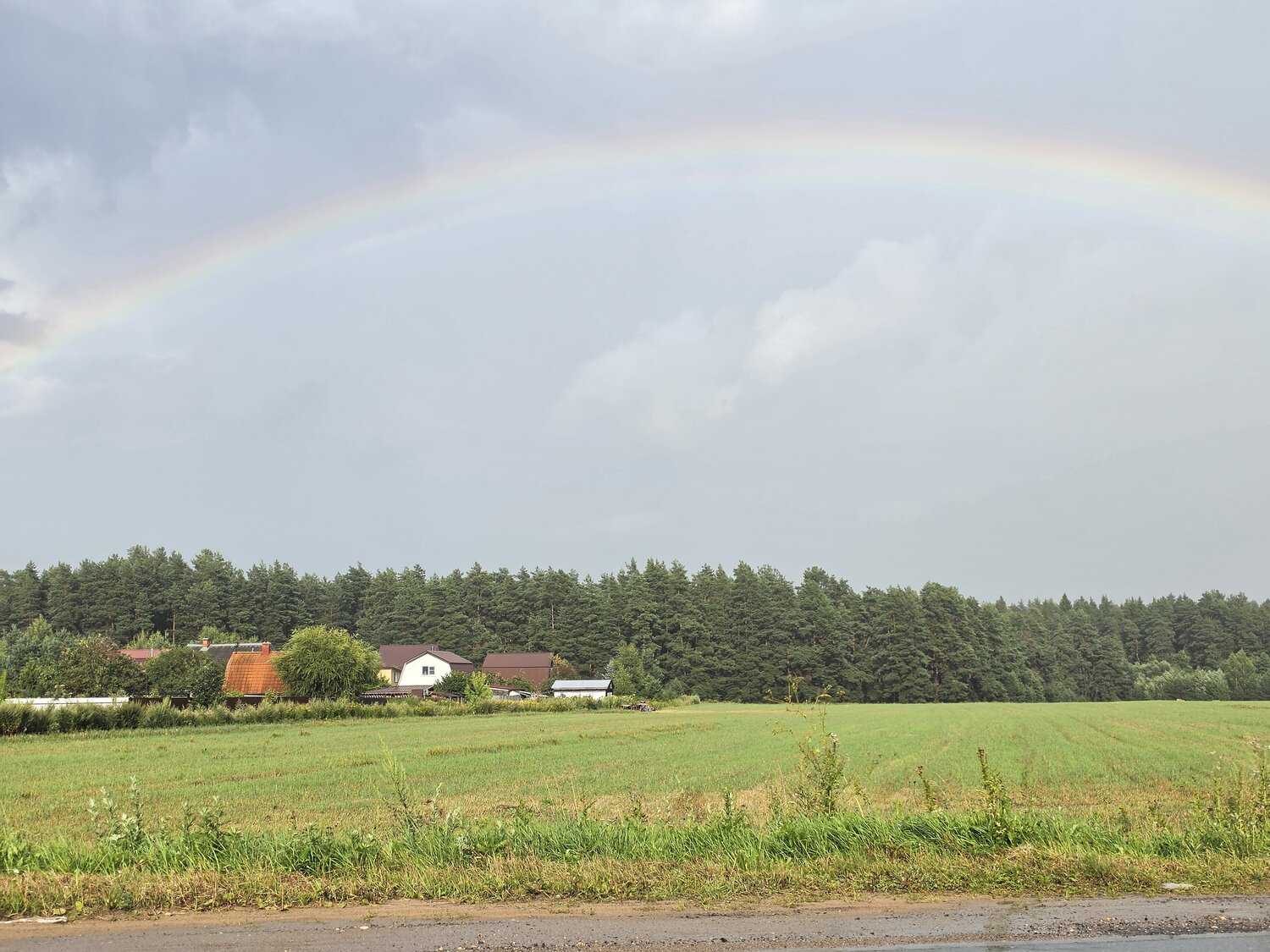 Photo #13909843